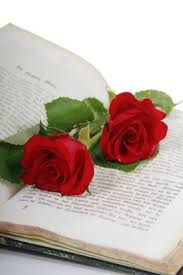 Eine Rose zum Welttag des Buches